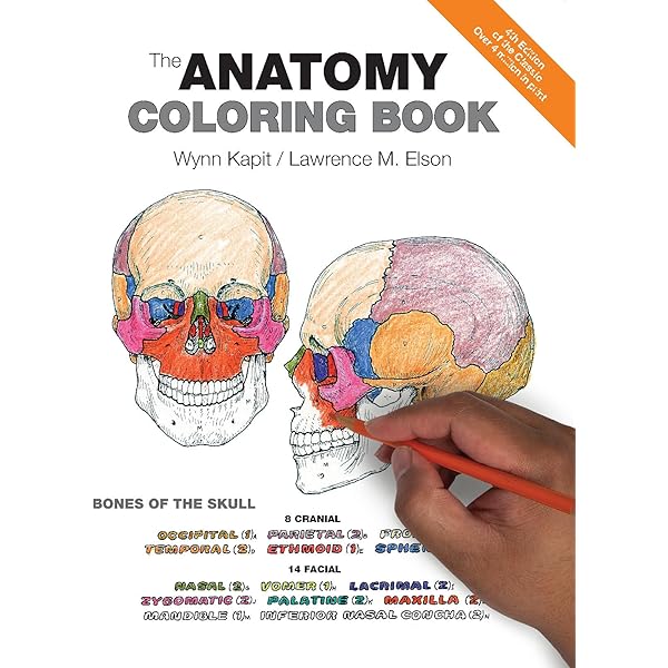 Buy An Atlas of Histology Book Online at Low Prices in India